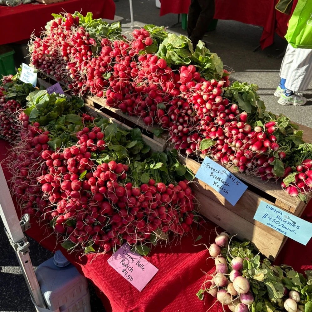 FRESHFARM Dupont Circle Market