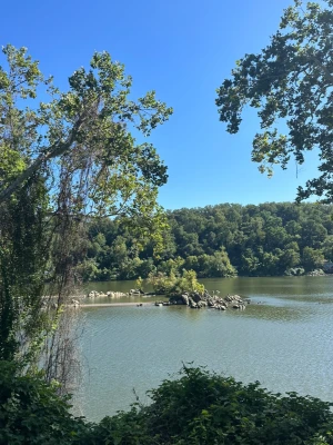 Capital Crescent Trail