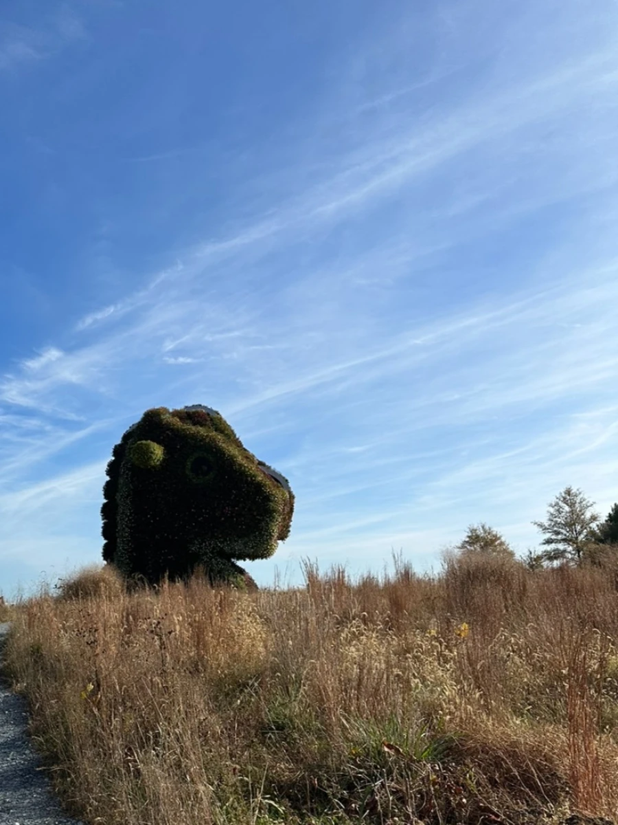 Glenstone