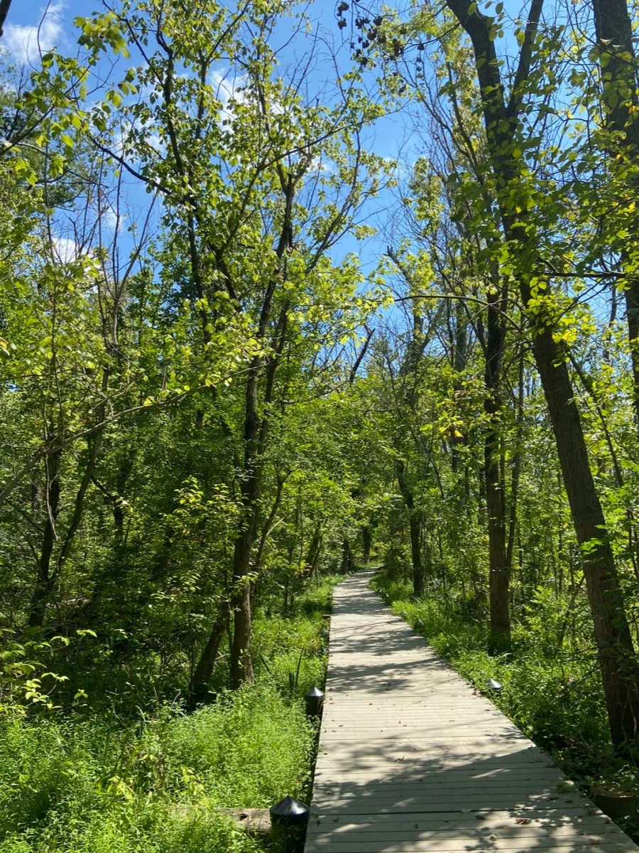 Roosevelt lsland Park
