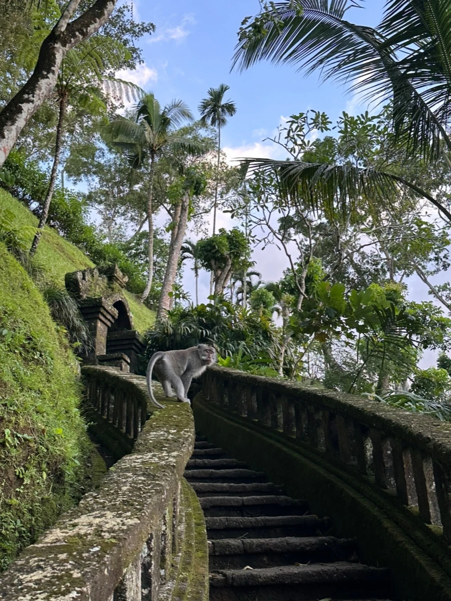 COMO Shambhala Estate