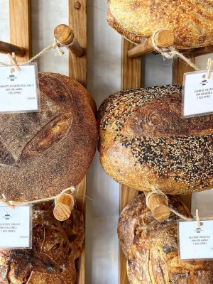 Starter Lab Bakery