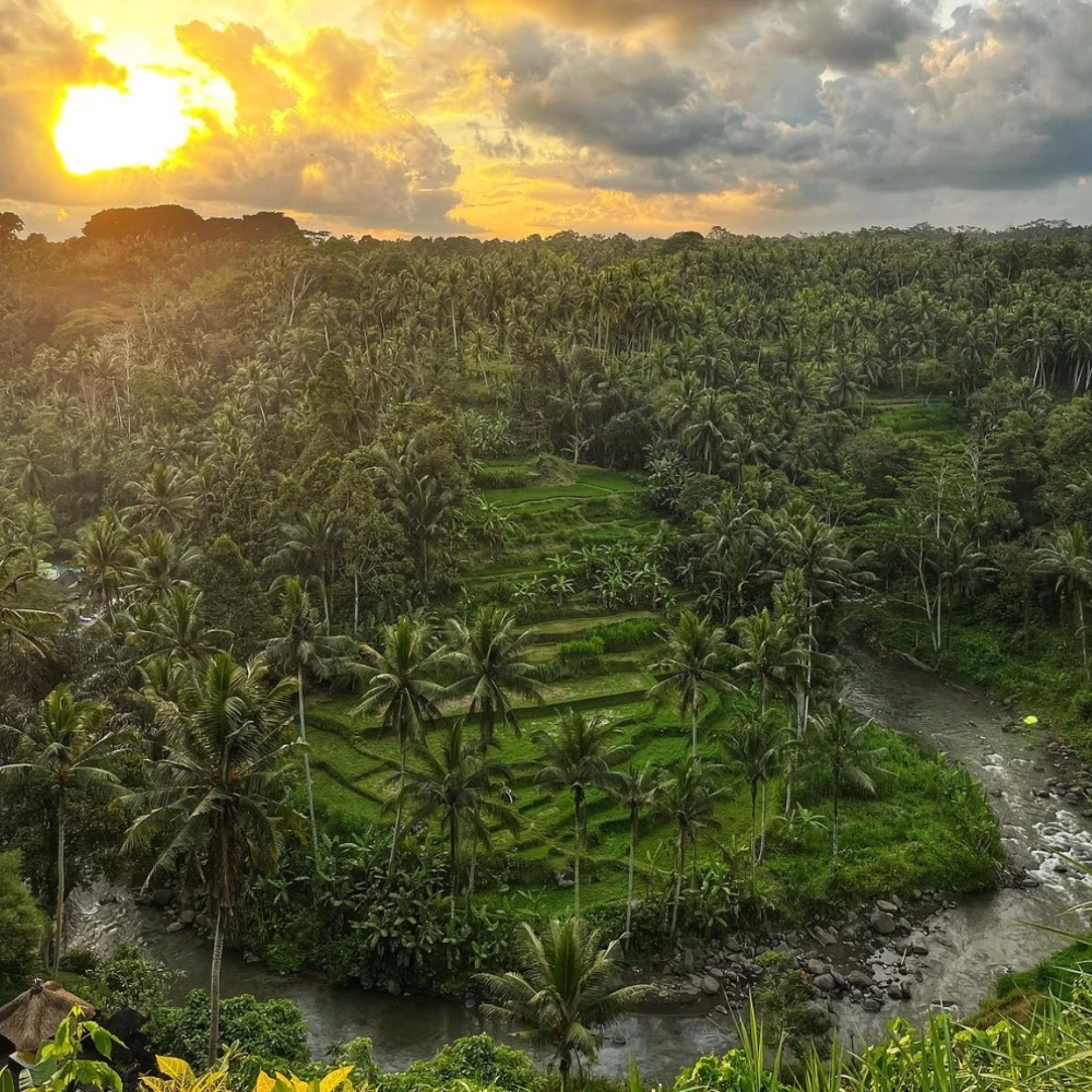 Taman Bebek Bali