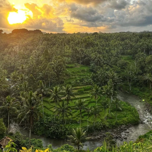 Taman Bebek Bali