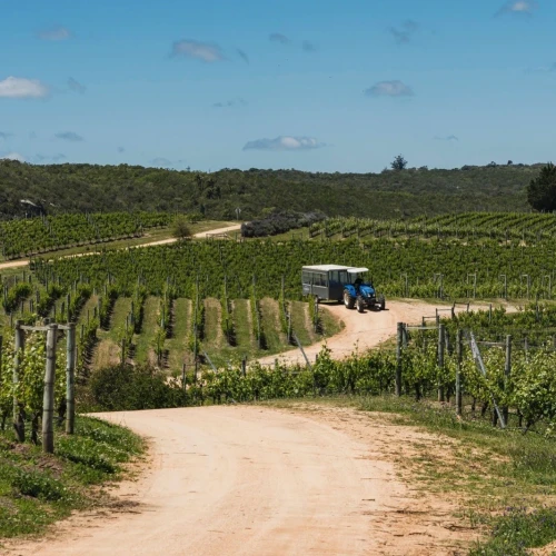 Bodega Garzón