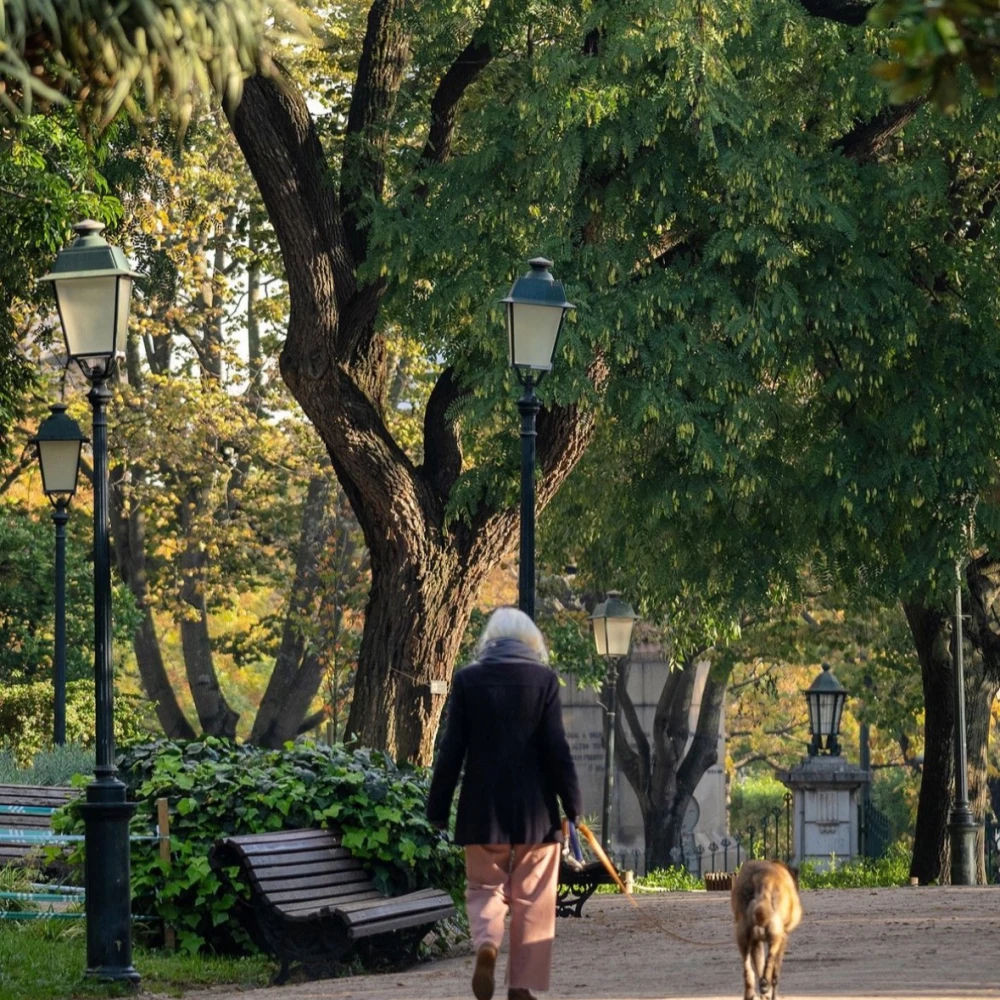 Jardim da Estrela
