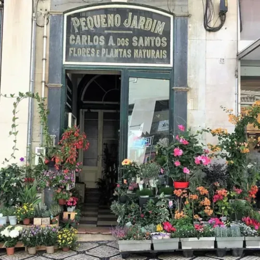Florist Pequeno Jardim
