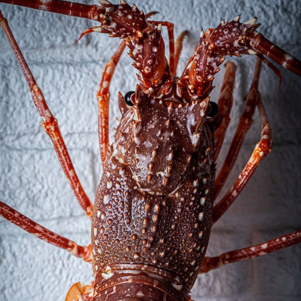 Sea Me Peixaria Moderna