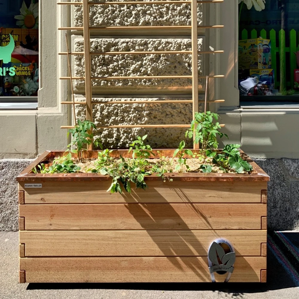VEG and the City