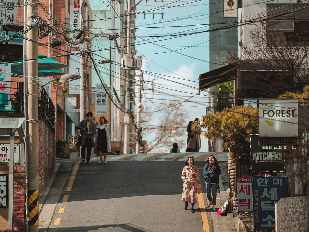 Cat Sarsfield connects to her roots in Korea