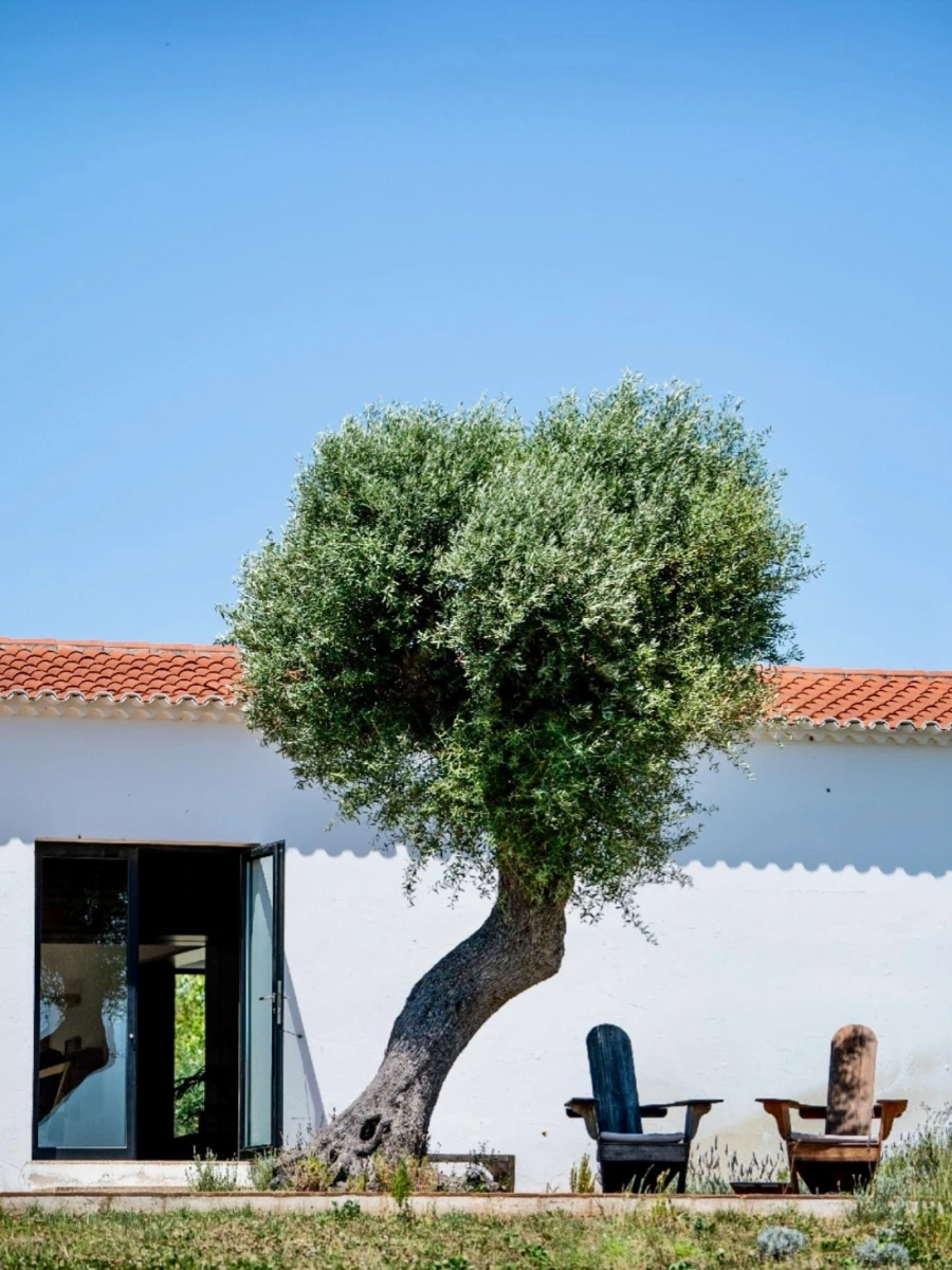 Restaurante da Herdade do Esporão
