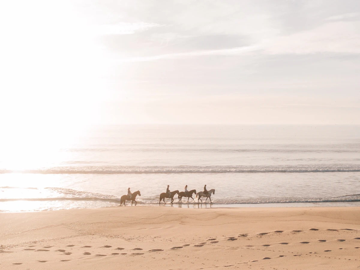 Cavalos na Areia