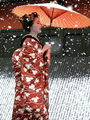 Gion Geisha District