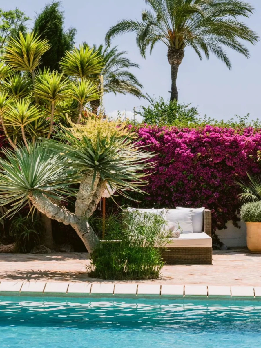 Agroturismo ATZARO ibiza