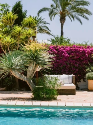 Agroturismo ATZARO ibiza