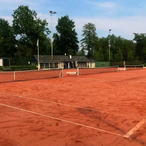 PARK Tennis