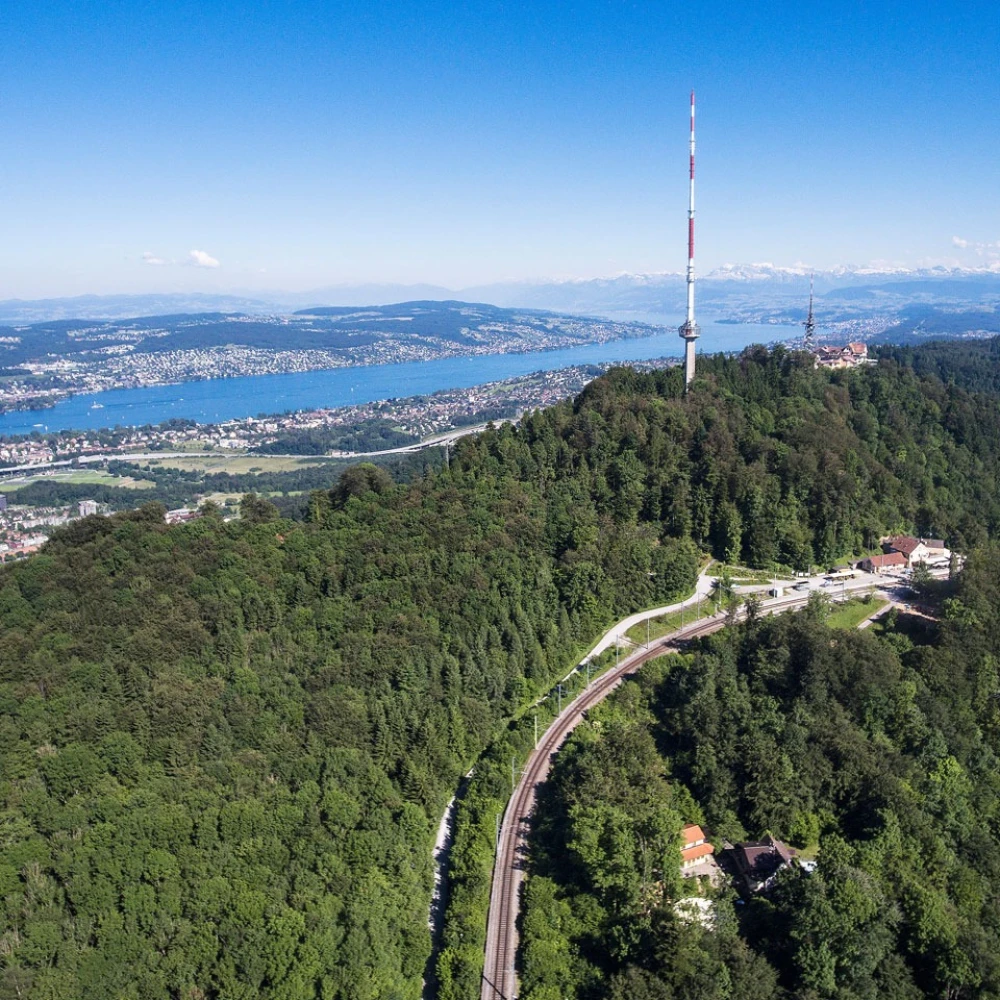 Zürichberg