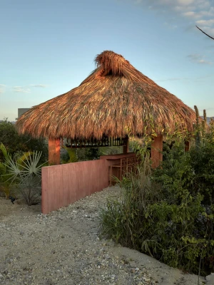 Cobarde Puerto Escondido