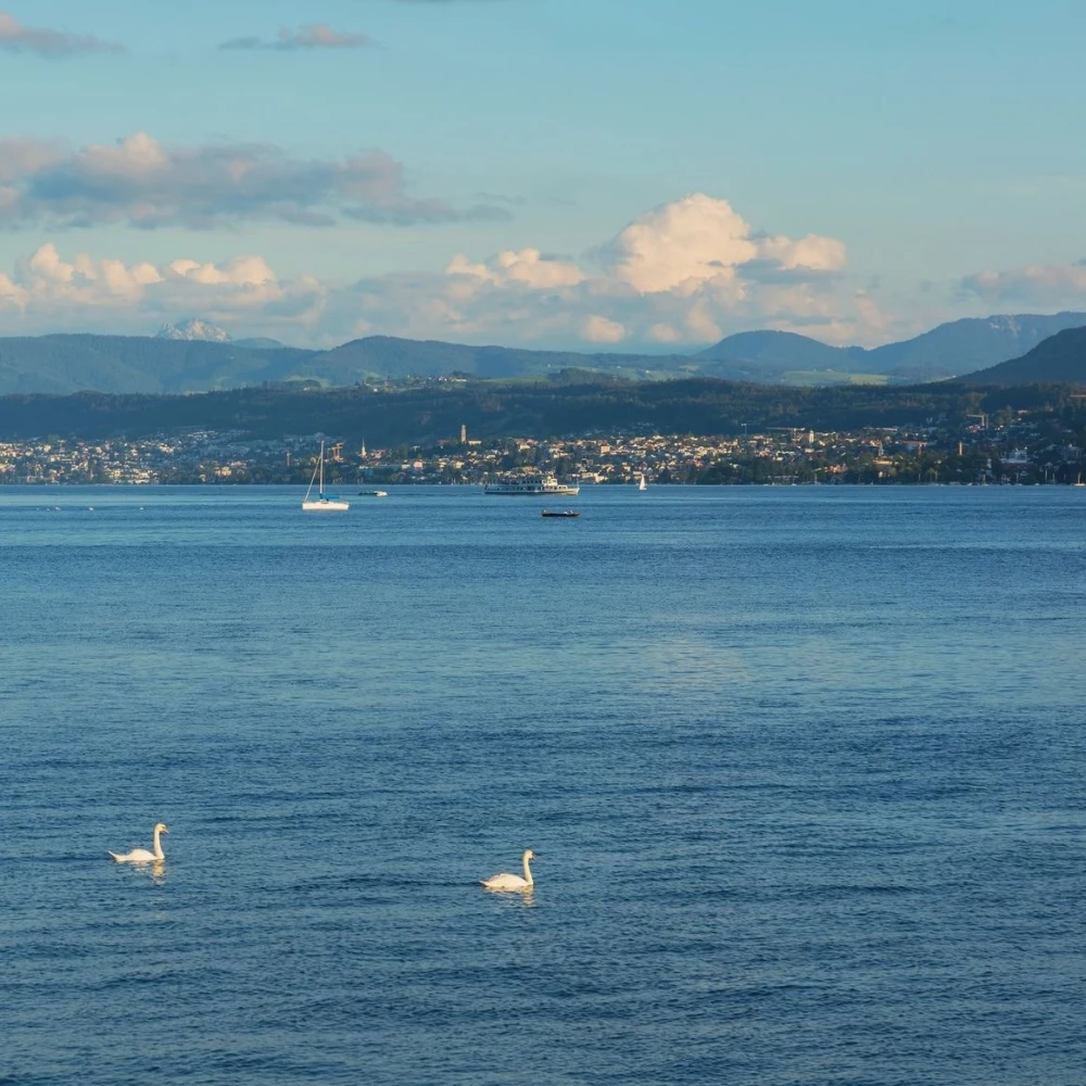 Lake Zurich