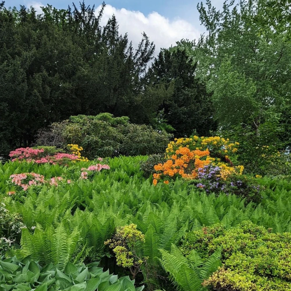 Botanical Garden