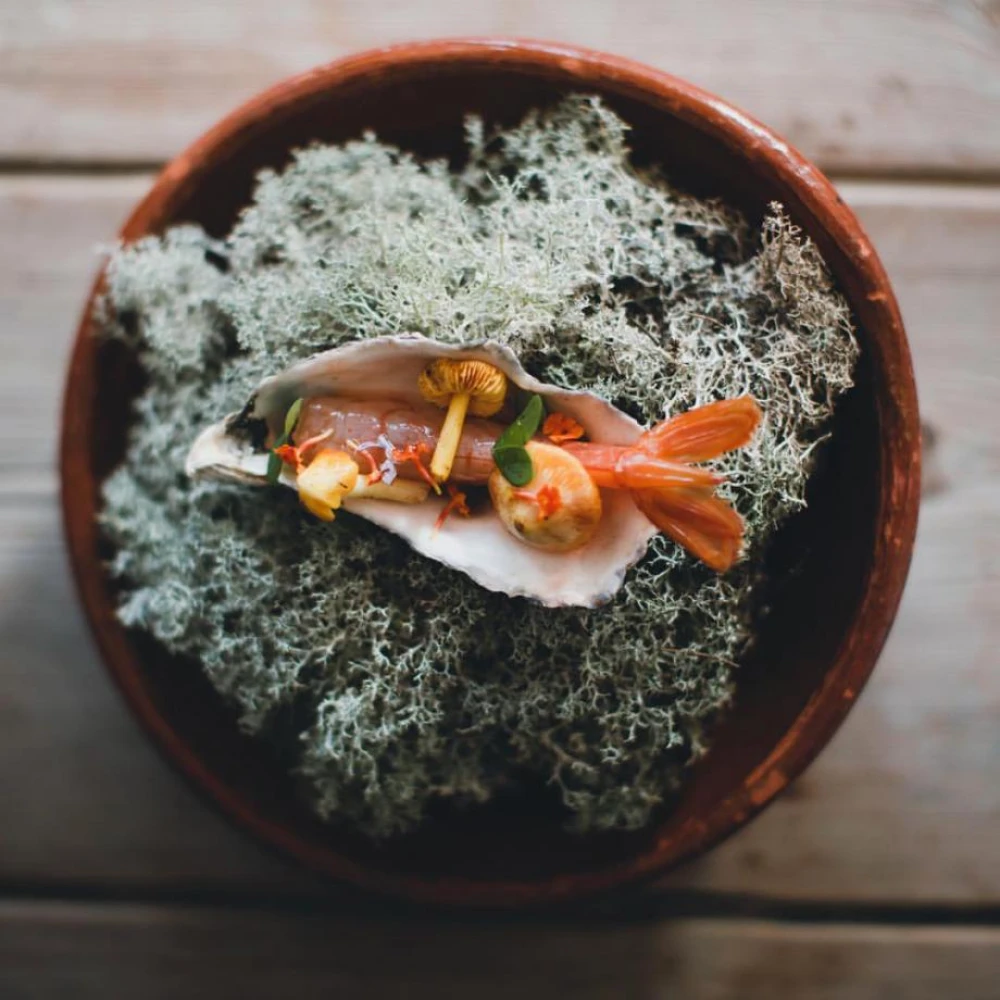 Taller de Tapas by Ibiza Food Studio