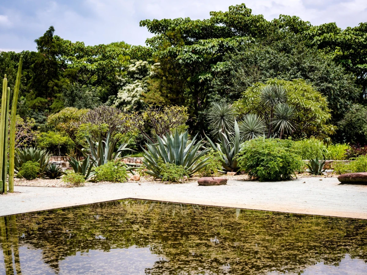 Jardín Etnobotánico de Oaxaca