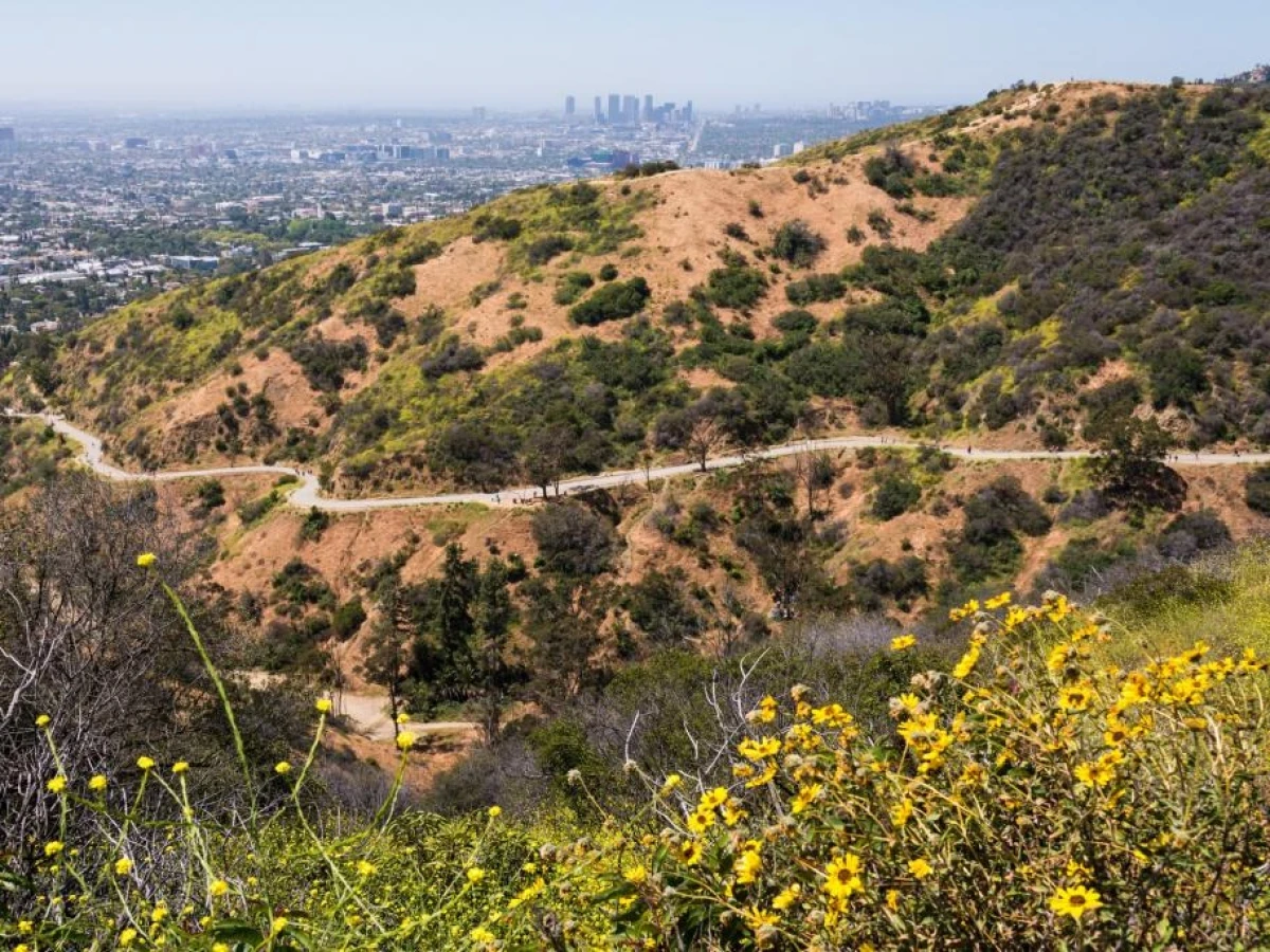 Runyon Canyon Park