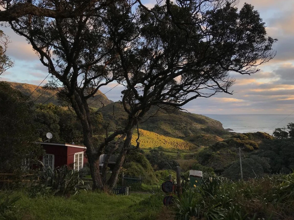 a New Zealand dreamscape