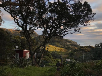 A New Zealand Dreamscape