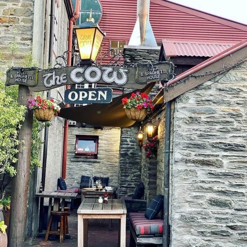 The Cow