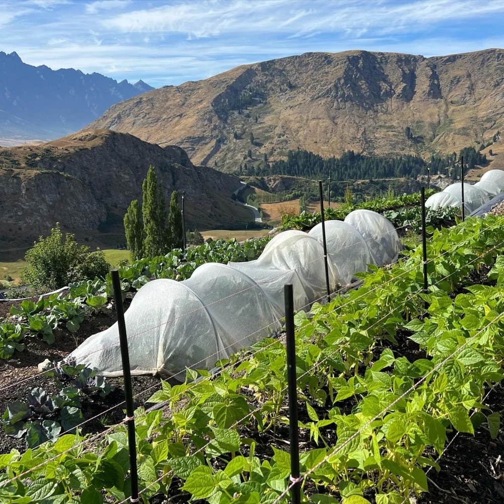 Sherwood Queenstown