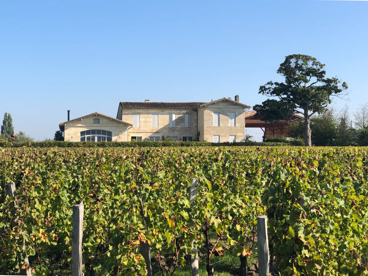 grape expectations: travelling through wine