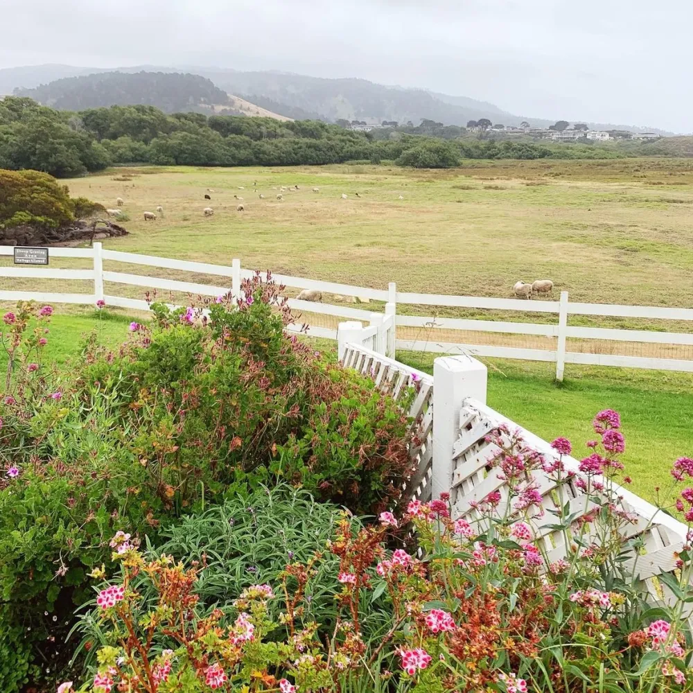 Mission Ranch Restaurant