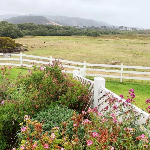 Mission Ranch Restaurant