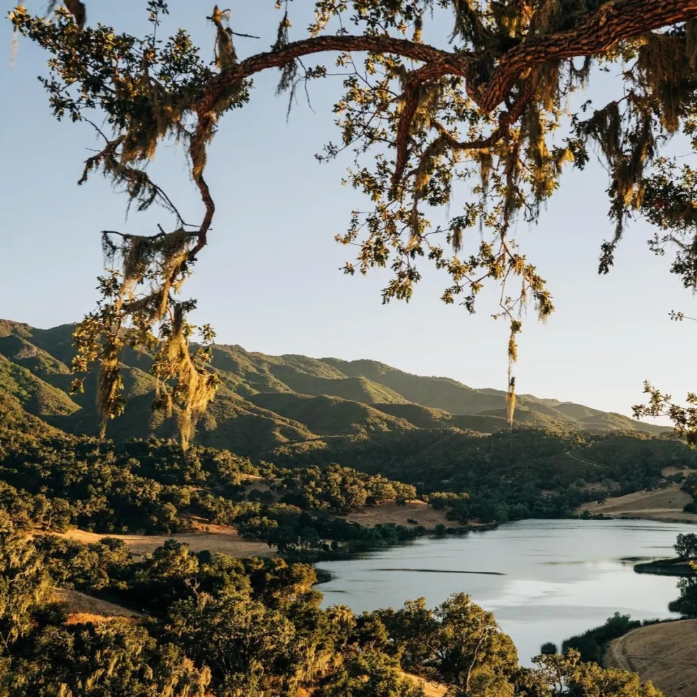 Alisal Ranch