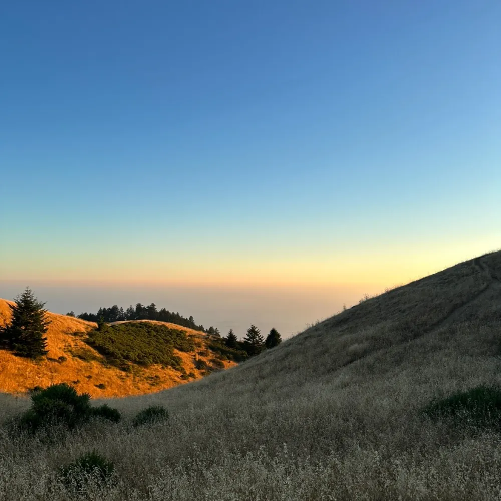 Mount Tamalpais