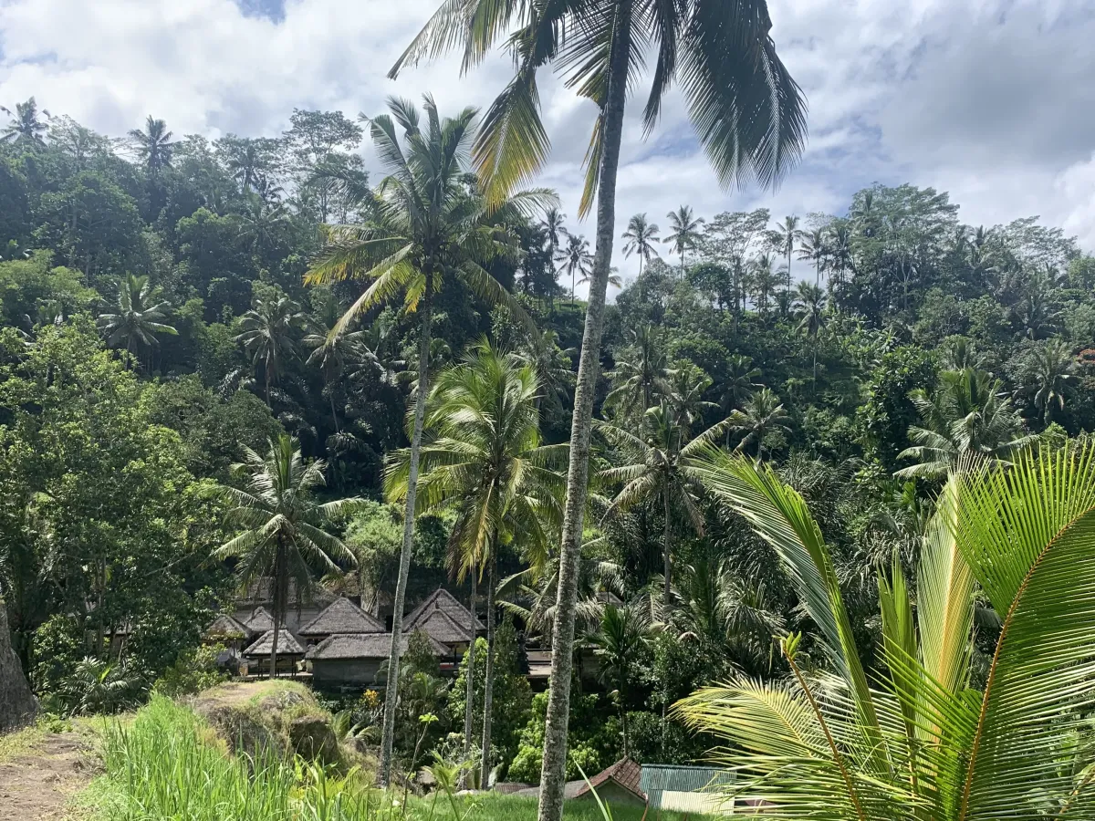 discovering Indonesia's crown jewel