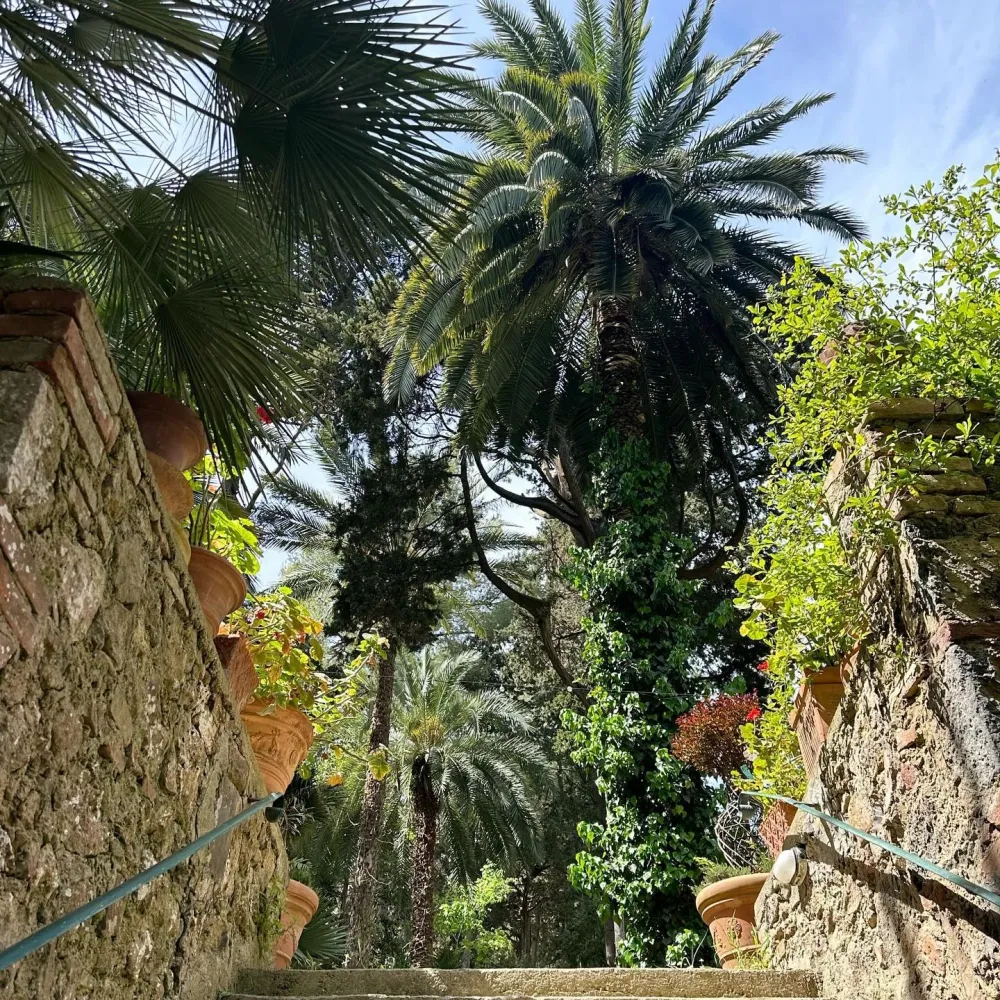 Orto Botanico Corsini