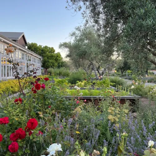 Carneros Resort & Spa