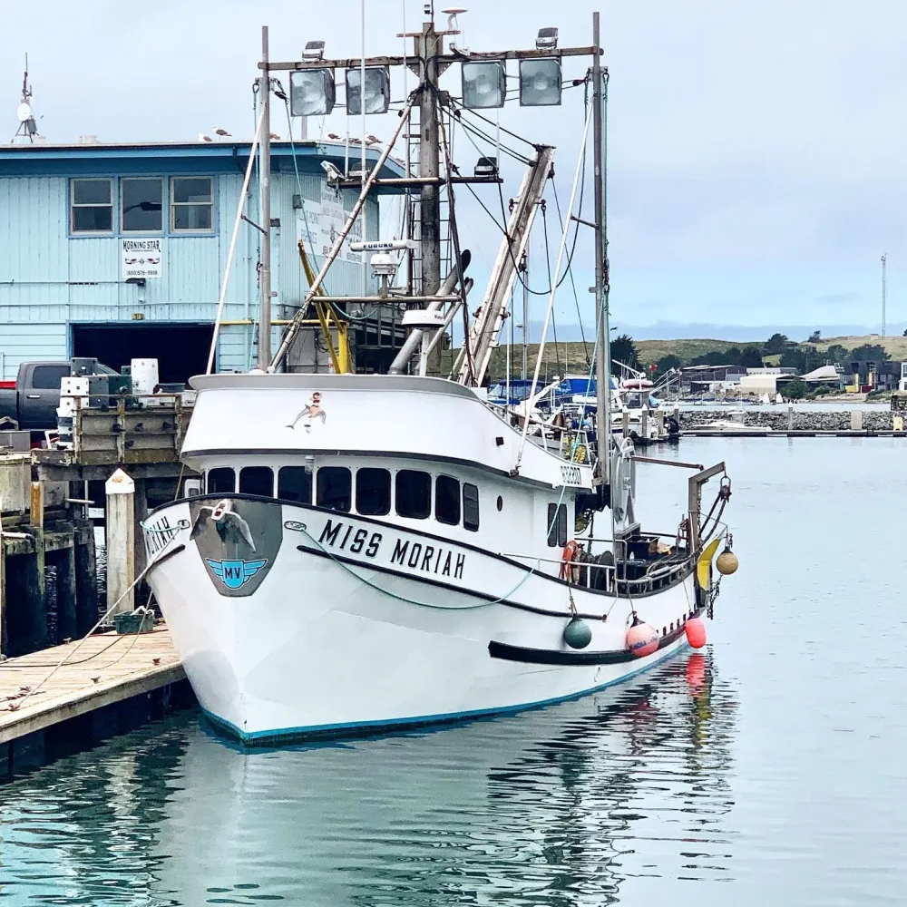 Hook Fish Co