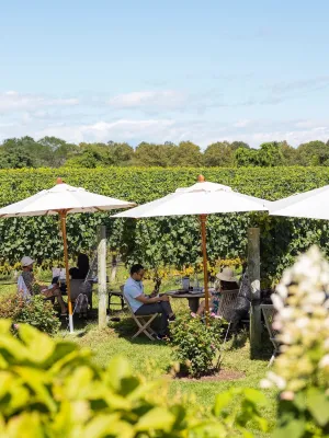 Wölffer Estate Vineyard