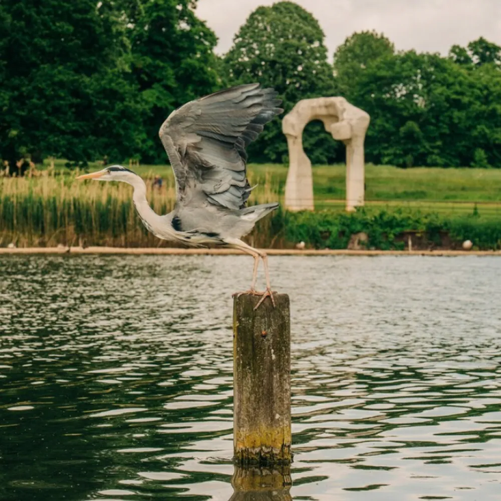 Kensington Gardens