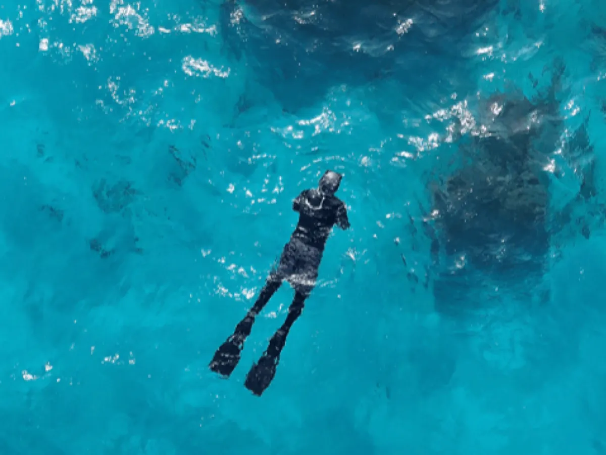 Diving at Durrat Al-Arus