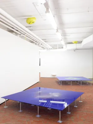 Animal House Fine Arts