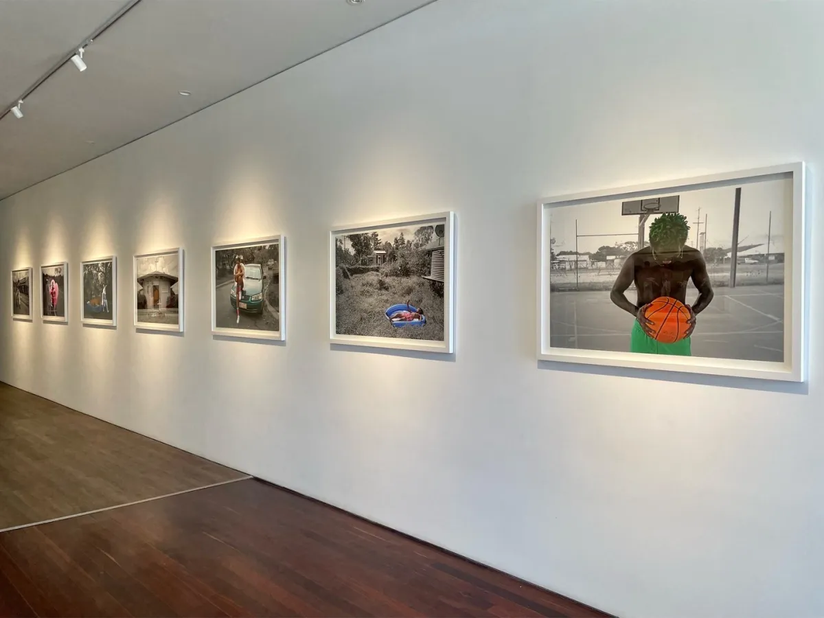 Vivien Anderson Gallery