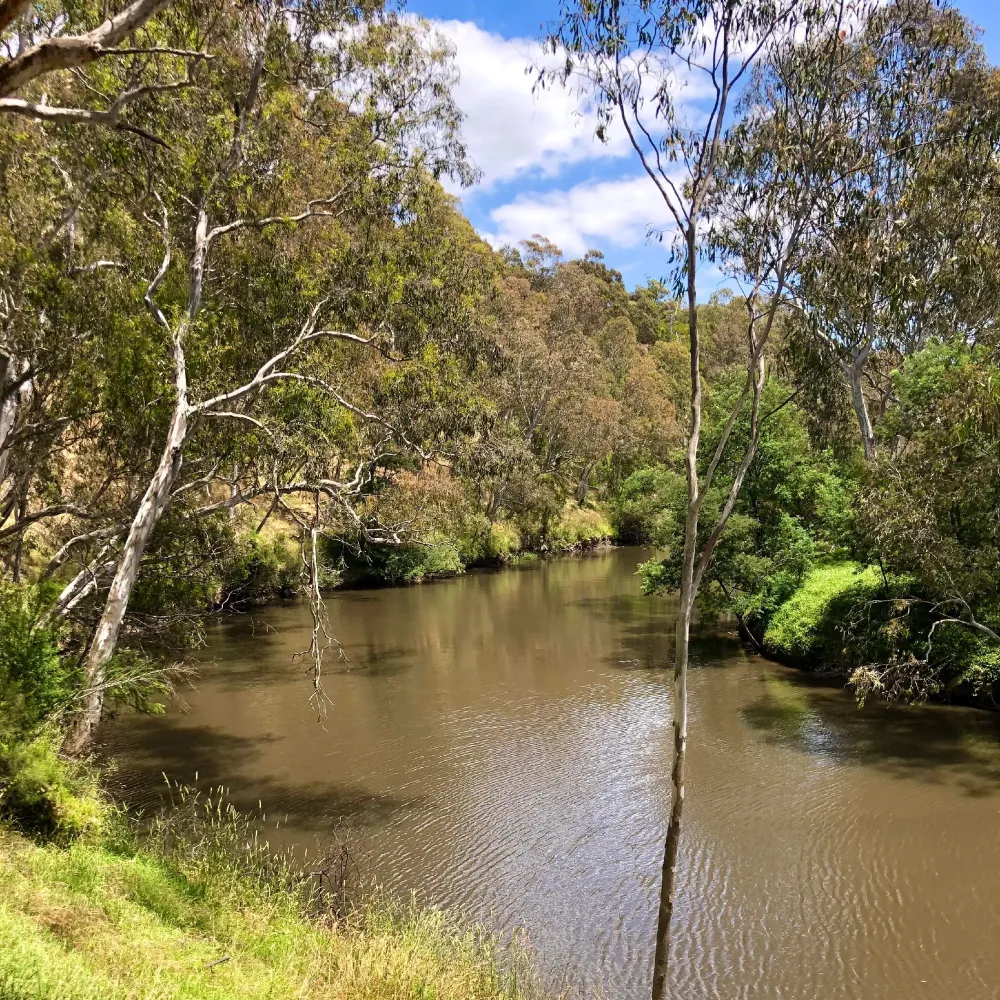 Yarra Bend Park