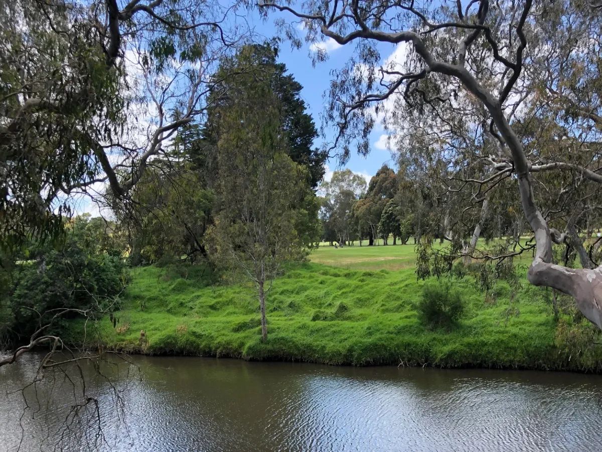 Yarra Bend Park
