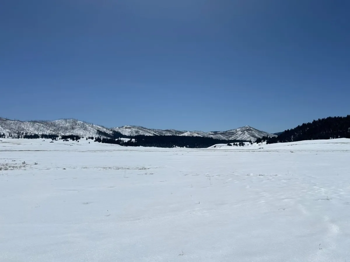 Valles Caldera