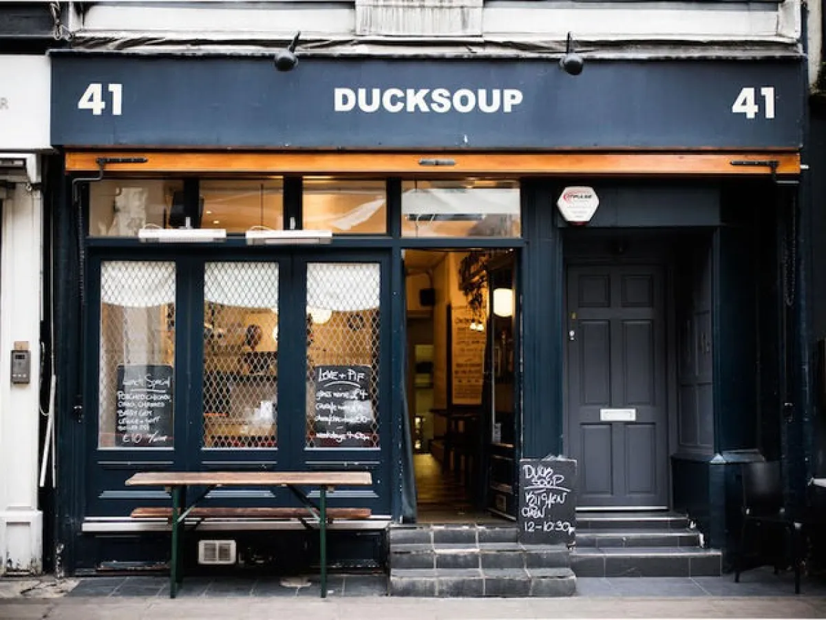 DUCKSOUP