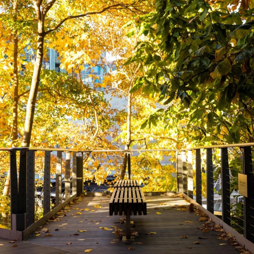 The High Line